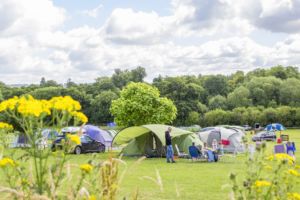 Swiss Farm Touring & Camping - Henley on Thames